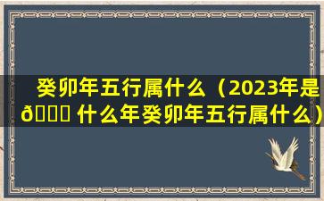 癸卯年五行属什么（2023年是 🐛 什么年癸卯年五行属什么）